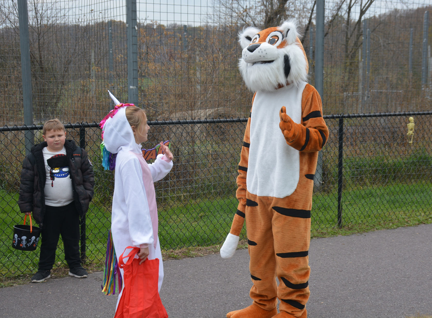 Cat halloween 1